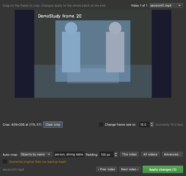 The Crop & Adjust Videos dialog in the dark theme