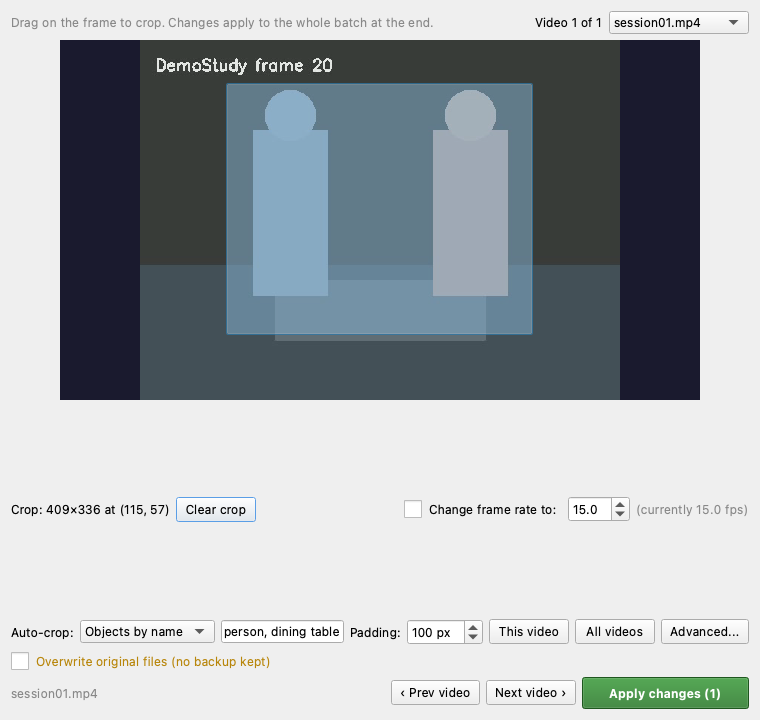 The Crop & Adjust Videos dialog with a crop rectangle drawn on a frame